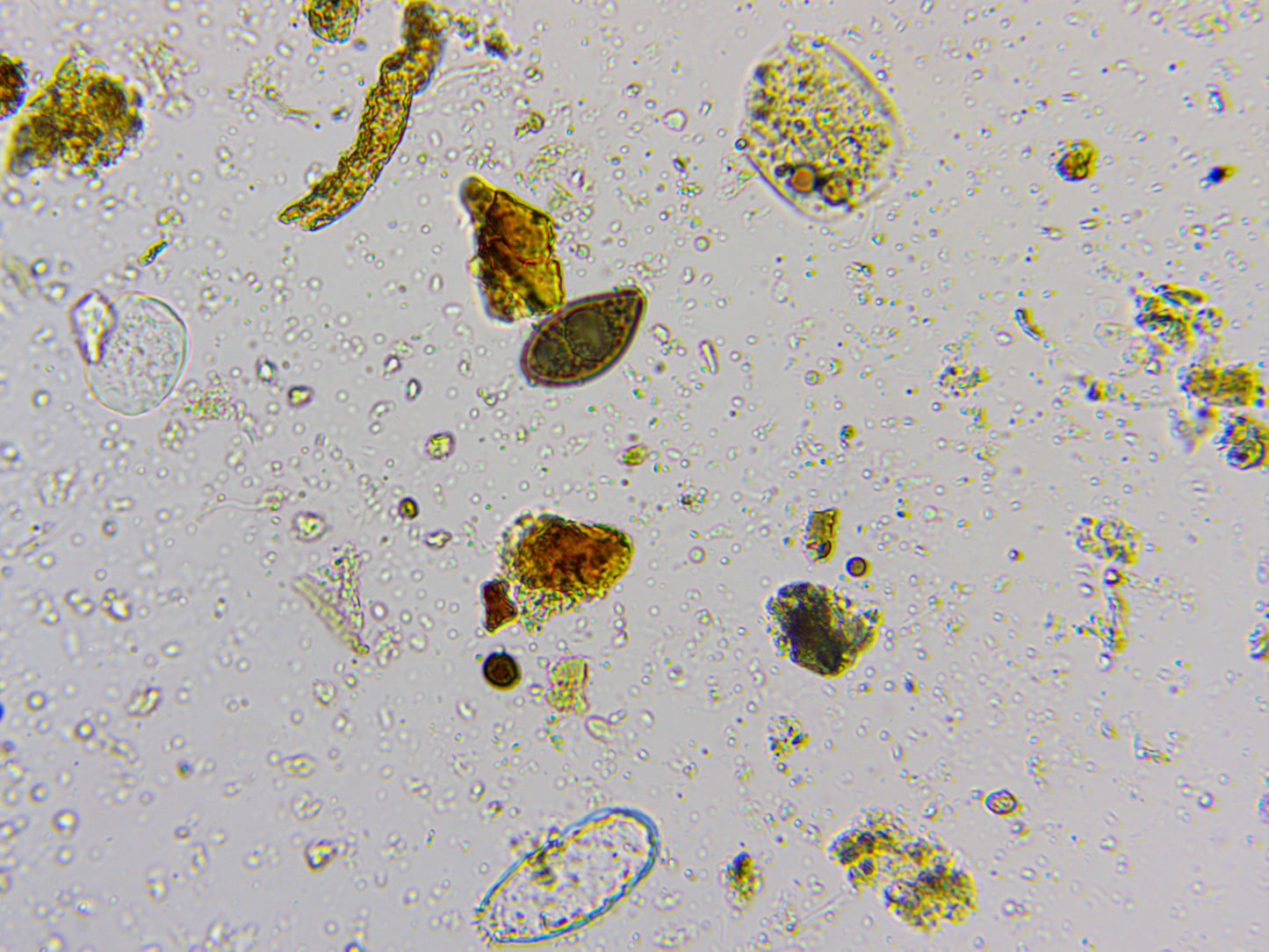 Microbiology Soil Assessment - Better Biology